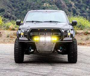 15-17 Ford F150 Off Road Fiberglass