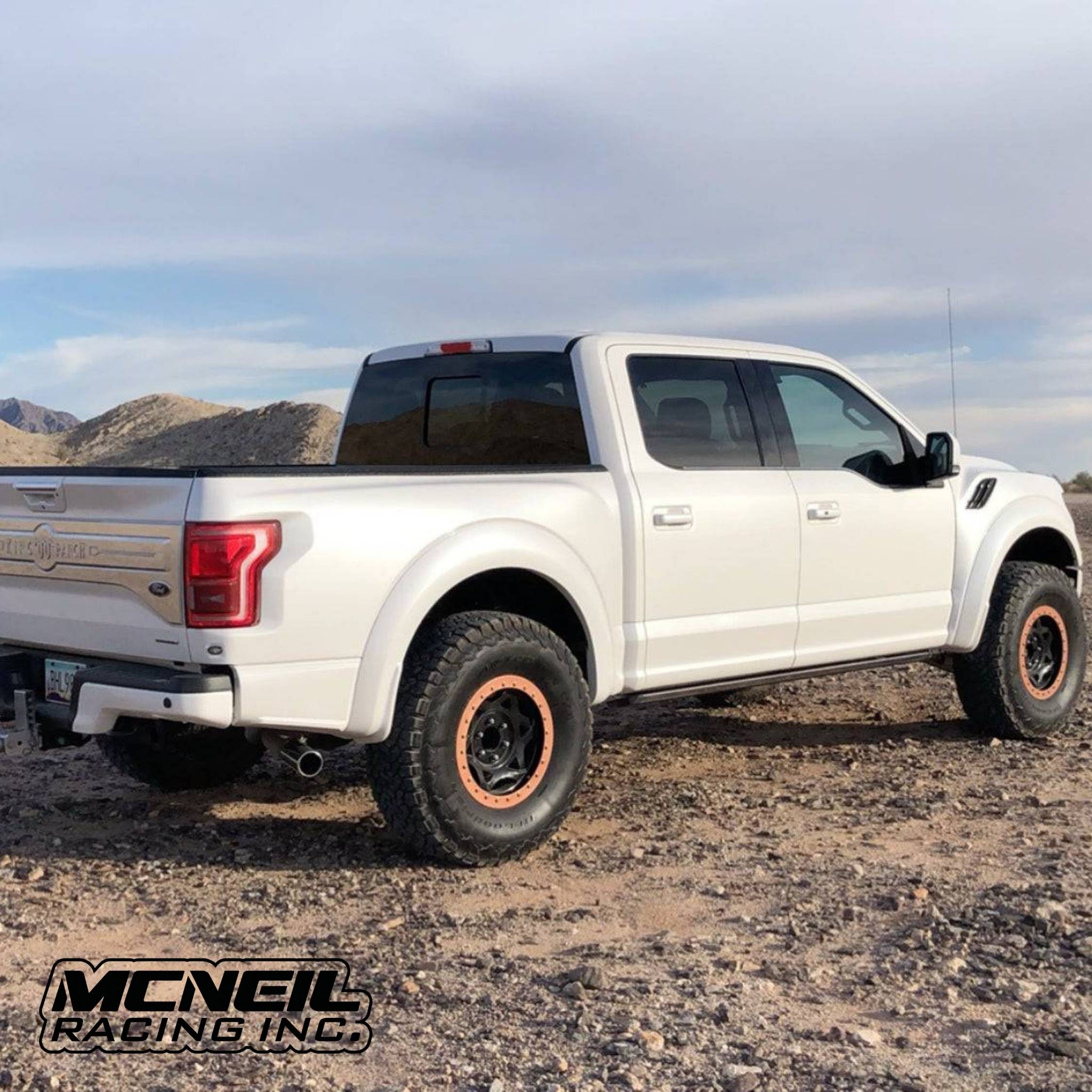 2017-2020 Ford Raptor OEM Style Fiberglass Bedsides - 5.5' – McNeil ...