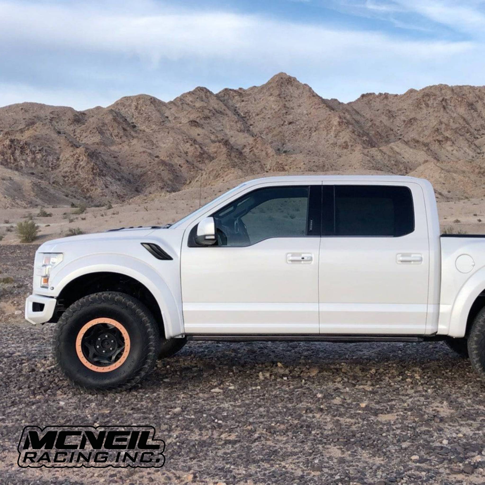 2017-2020 Ford Raptor OEM Style Fiberglass Bedsides - 5.5' – McNeil ...