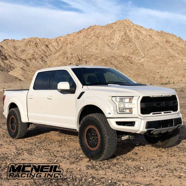 2017-2020 Ford Raptor Off Road Fiberglass Hood