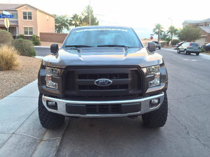 15-20 Ford F150 Off Road Fiberglass Hood