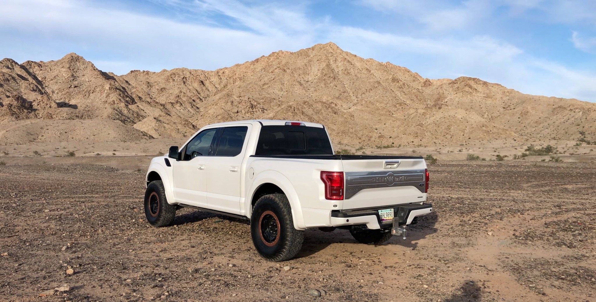 15+ Ford F150 OEM Raptor Style Fiberglass Bedsides