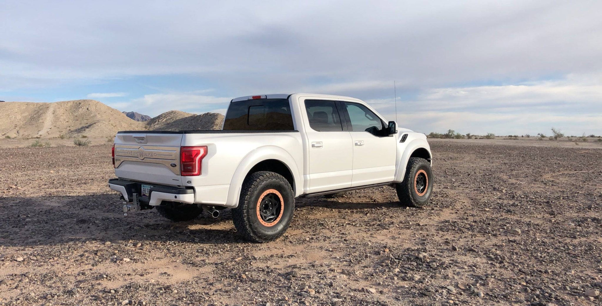 2017-2020 Ford Raptor OEM Style Fiberglass Bedsides - 5.5