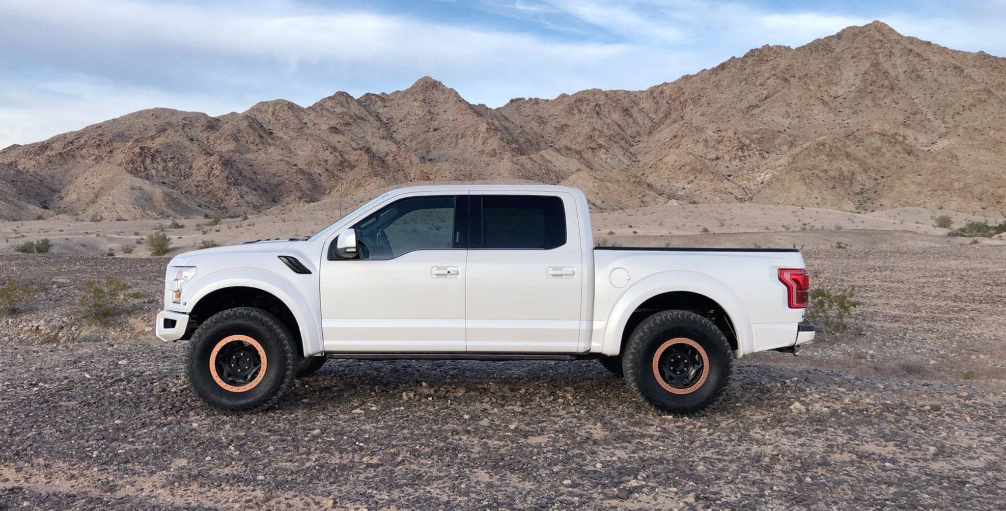 2017-2020 Ford Raptor OEM Style Fiberglass Fenders