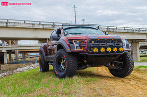 2017-2020 Ford Raptor Off Road Fiberglass One Piece